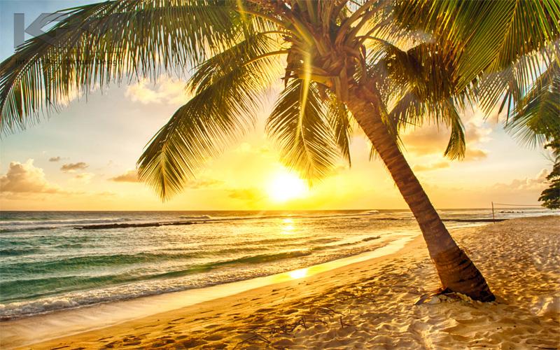 Tham khảo mẫu cảnh hoàng hôn 1 Tham khảo mẫu cảnh hoàng hôn 1
